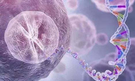 烈冰助力snRNA-Seq||震驚！凍存樣本也能做單細(xì)胞？