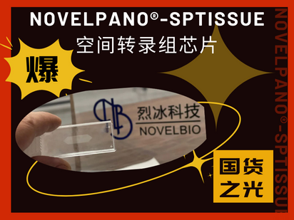 國(guó)產(chǎn)之光！烈冰智造成功開(kāi)發(fā)空間轉(zhuǎn)錄組50μm級(jí)點(diǎn)陣芯片