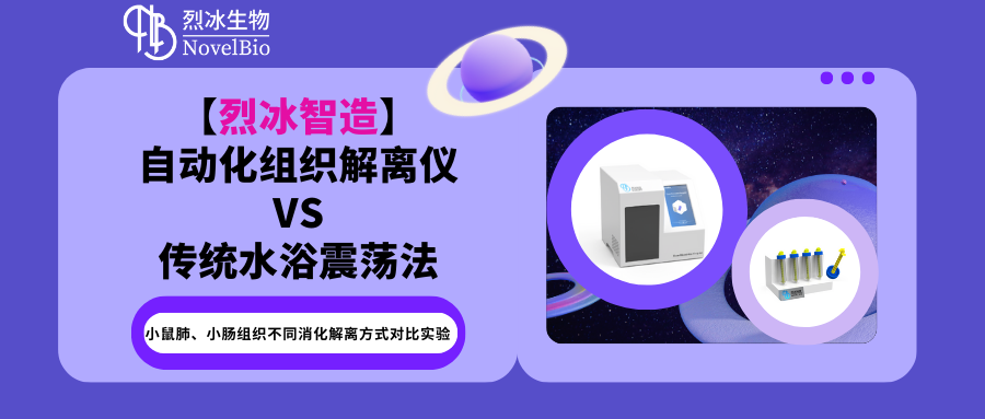 小鼠肺、小腸組織不同消化解離方式對比實驗