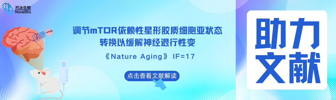 烈冰助力 | Nature Aging（IF = 17） 調(diào)控mTOR依賴的星形膠質(zhì)細胞亞狀態(tài)轉(zhuǎn)變可緩解神經(jīng)退行性變